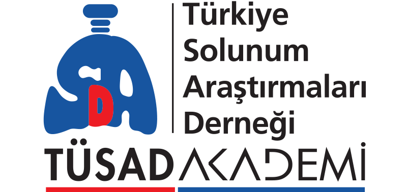 T&Uuml;SAD Akademi Logo